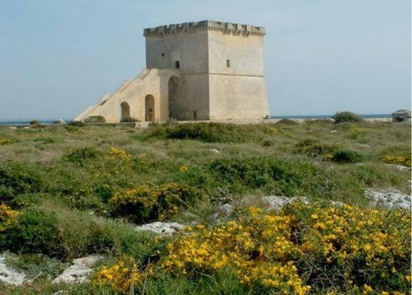 Bed and Breakfast Vev Salento Porto Cesareo Exterior foto